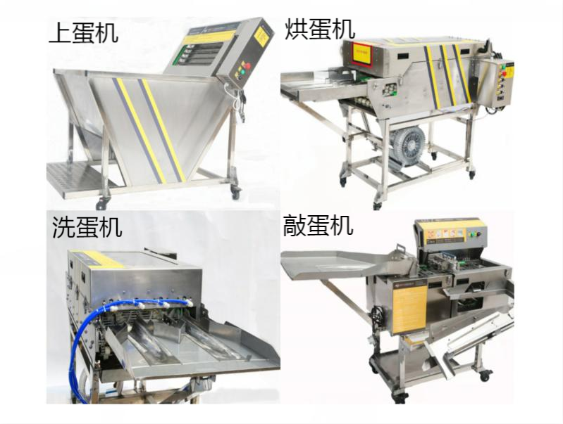 全自動(dòng)敲蛋機(jī)的類型及敲蛋機(jī)配套產(chǎn)品
