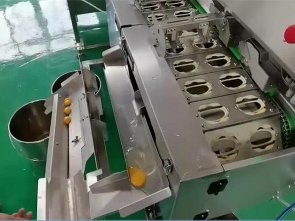食品廠用蛋清蛋黃分離機怎么樣？優(yōu)勢和作用介紹